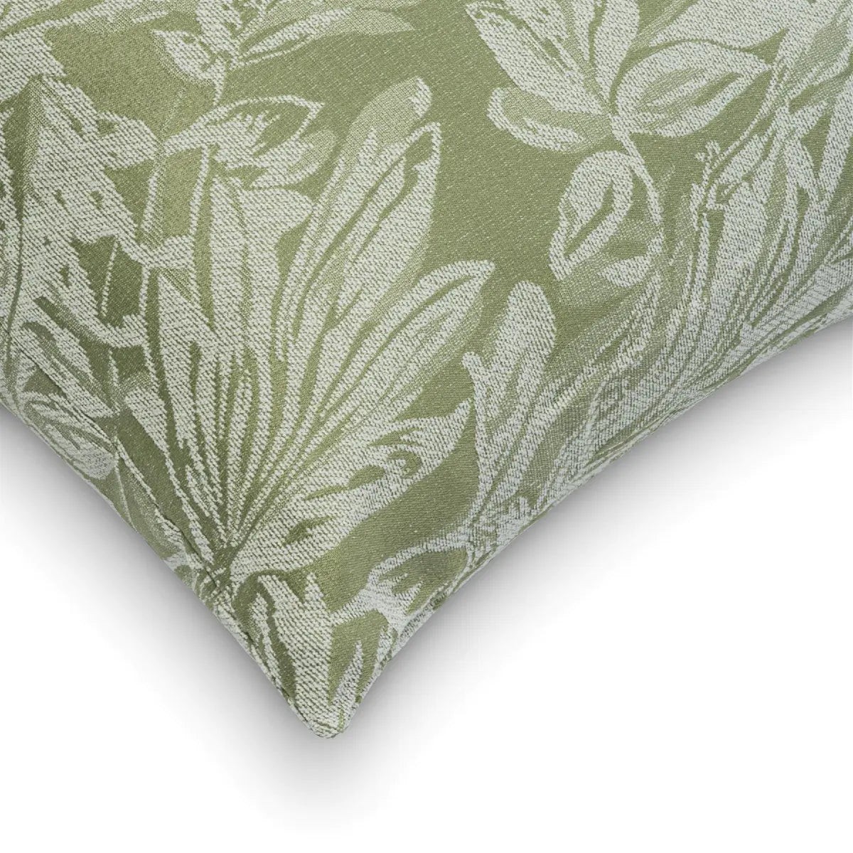 Botanic Cushion Cover / Filled Cushion Collection by Alan Symonds